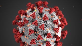 coronavirus