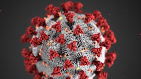 De origen aún desconocido, el SARS-Cov2 se convirtió en una pandemia mundial y una amenaza generalizada para la salud humana en los últimos meses.