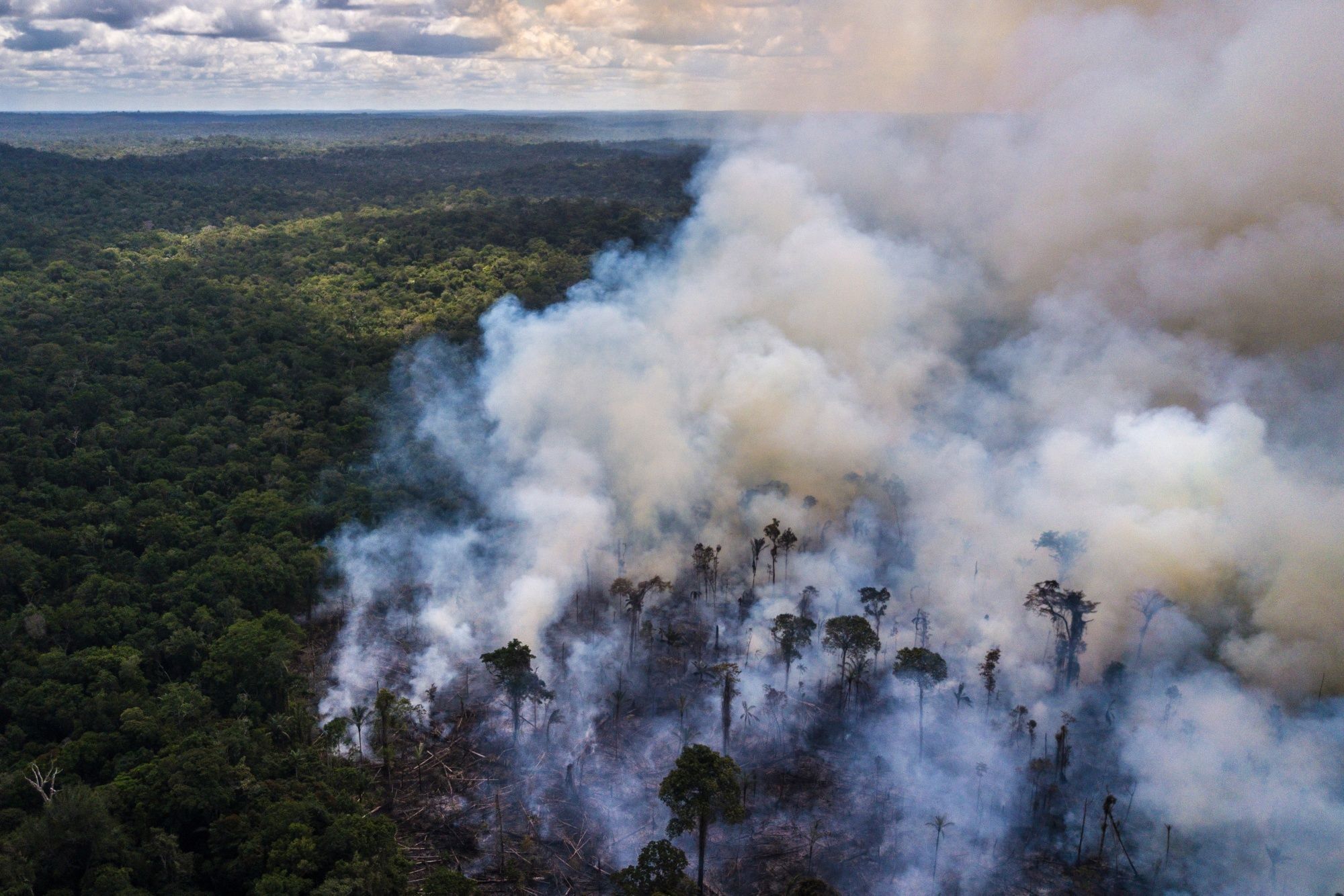 Raging Fires and Dark Skies Put Brazil’s Bolsonaro in Spotlight