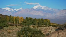 El parque reabrirá sus puertas, todos los días, en el horario de 10 a 18 horas.