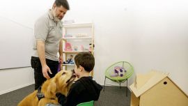 Titan perro de asistencia judicial