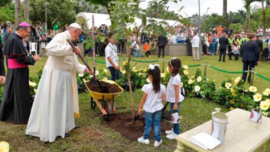 Papa Francisco ecologia