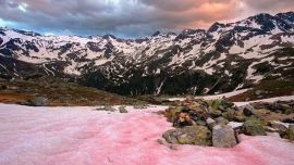 Formada por un alga, acelera el derretimiento de la nieve.