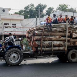 Los trabajadores se sientan en pilas de madera mientras son transportados en un tractor en Amritsar. | Foto:NARINDER NANU / AFP
