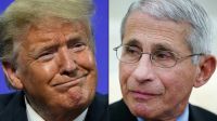 anthony fauci donald trump
