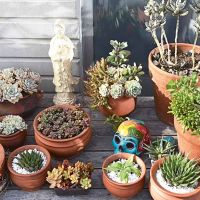 LA TERRAZA-JARDIN DE YANINA SCREPANTE