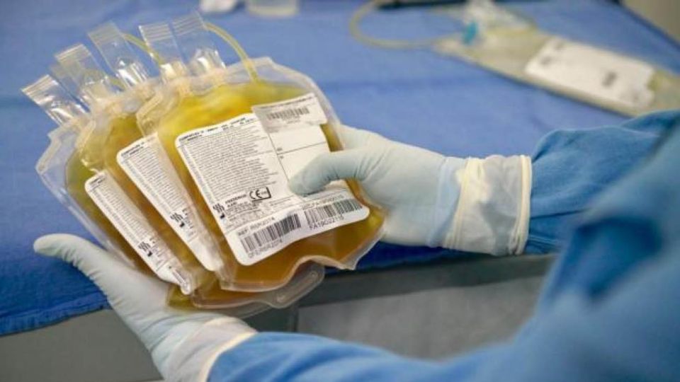 Rechazan un amparo para administrar plasma a dos adultos mayores 20200714