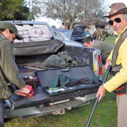 Preparación y equipamiento. La caza de liebre se realiza en grupo usando escopetas de largo alcance y buena iluminación.