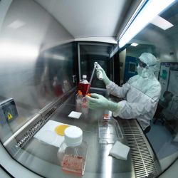 Un técnico de laboratorio que usa equipo de protección personal (PPE) realiza pruebas debajo de una campana, usando botellas de reactivos en el laboratorio de una compañía farmacéutica francesa Sanofi en Val de Reuil. | Foto:JOEL SAGET / AFP