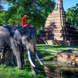 Esta fotografía muestra a un mahout y su elefante frente a un antiguo templo budista en Ayutthaya, a unos 70 km al norte de Bangkok. | Foto:Mladen Antonov / AFP