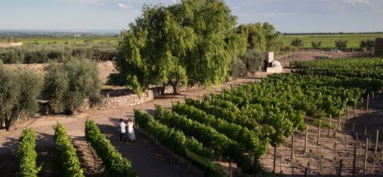 La reapertura más esperada de Mendoza