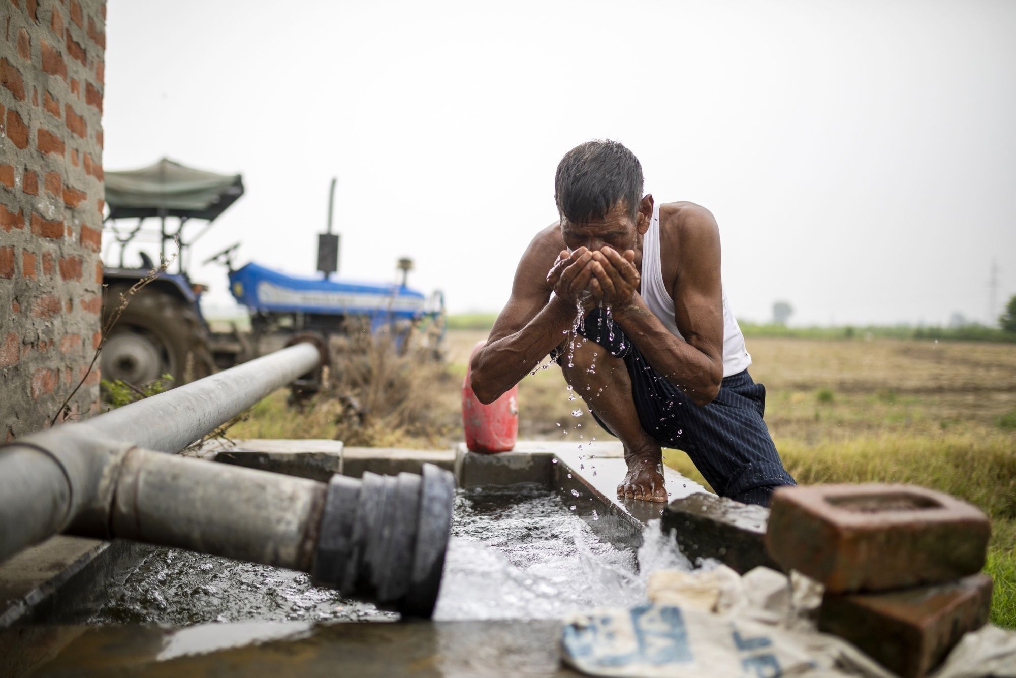 India Crop Diversification-Water Woes Story: Haryana