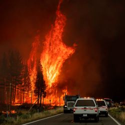 Las llamas atraviesan los árboles cuando el incendio de Hog salta a la autopista 36 a unas 5 millas de Susanville, California. - El incendio explotó en más de 6,000 acres y creó su propio clima, generando relámpagos, truenos, lluvia y remolinos de fuego. | Foto:JOSH EDELSON / AFP