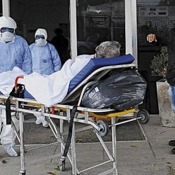 Pandemia en Argentina. 