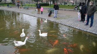 cuarentena parques ciudad de buenos aires