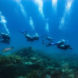 Esta foto muestra a buzos en la isla de Koh Tao, en la provincia de Surat Thani, en el sur de Tailandia. | Foto:LILIAN SUWANRUMPHA / AFP)