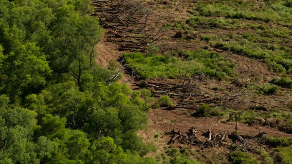 Deforestación
