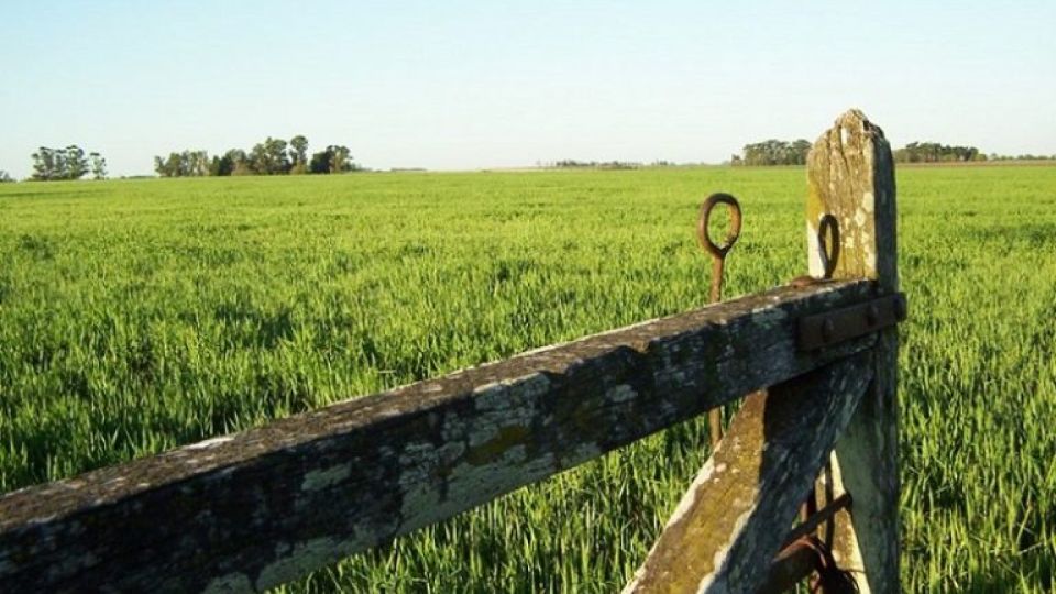 Mercado inmobiliario rural.