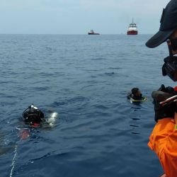El hallazgo tuvo lugar en las profundidades del océano Indico, frente a las costas del sur de Java, Indonesia.