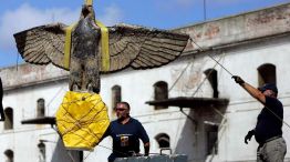 El águila del Graf Spee, el símbolo nazi que genera controversia en Uruguay