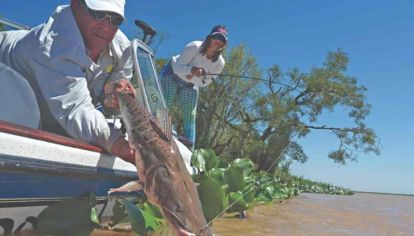 Nuevo protocolo de pesca en Goya