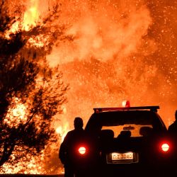 Los bomberos se paran cerca de un incendio forestal en un bosque de pinos avivado por fuertes vientos cerca de la aldea de Athikia en Grecia.jpg | Foto:Valerie Gache / AFP