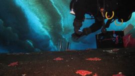 La investigación estuvo a cargo de un equipo de ecólogos marinos de la Universidad Estatal de Oregón, Estados Unidos.