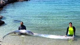 El cuerpo estaba prácticamente en estado de descomposición.