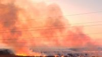 Incendios en el Delta