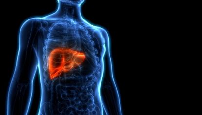 La hepatitis B es la más frecuente en Argentina y en el mundo