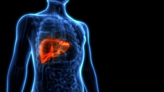 La hepatitis B es la más frecuente en Argentina y en el mundo
