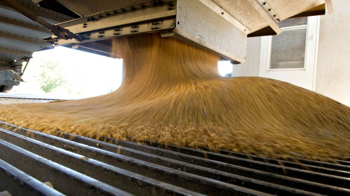 Soy processing at a plant.