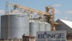 Bunge Puerto San Martín