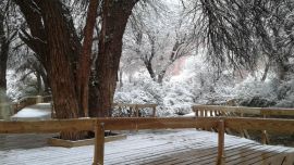 En un día el PN Talampaya agotó sus entradas para su reapertura al turismo este fin de semana.