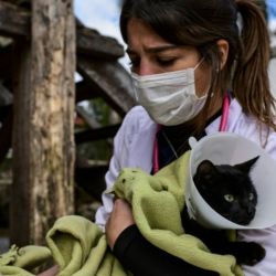Leila Peluso López es médica veterinaria y recorre el Delta en la primera lancha ambulancia de la zona.