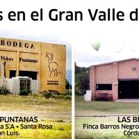 Vinos Los Amigos