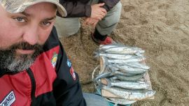 Pesca de buenos pejerreyes desde la costa de Miramar.