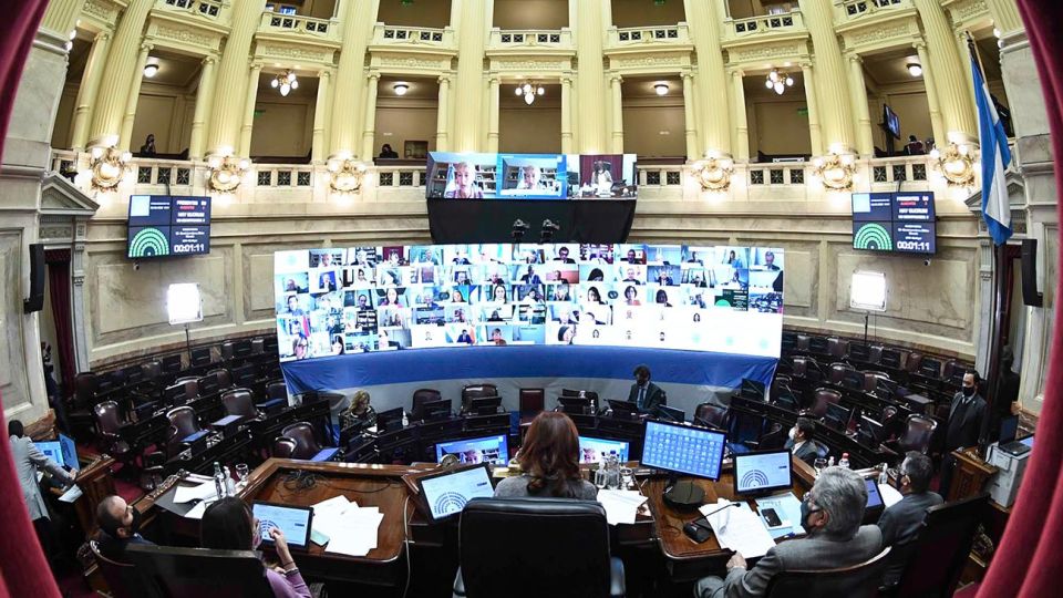 Senado de la Nacion 20200730