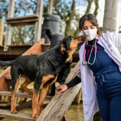 Argentine veterinarian Leila Peluso provides assistance to the pets and farm animals of the Paraná Delta, in the municipality of Tigre, Buenos Aires Province. 