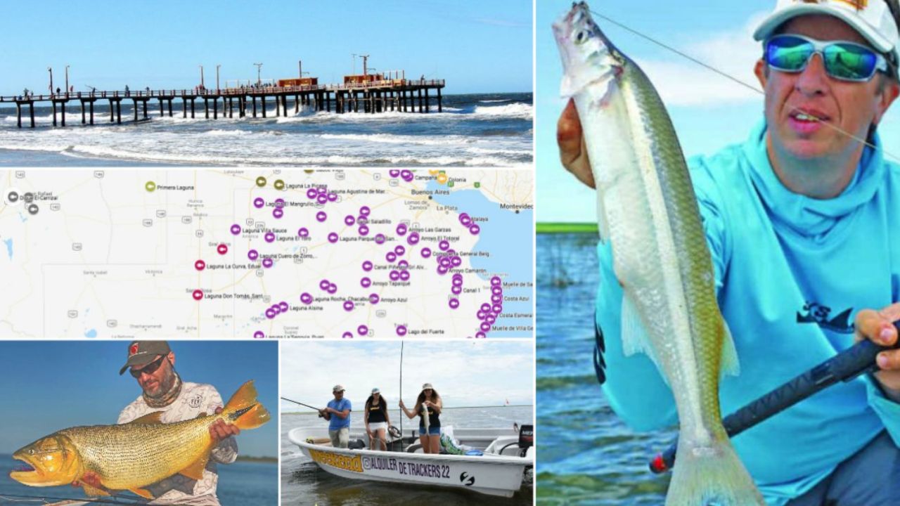 Dónde ir por buena pesca este fin de semana: lagunas, muelles, playas y ríos habilitados