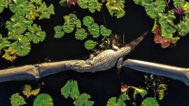 El campo olímpico de golf de Río de Janeiro tiene una extensión de más de un millón de metros cuadrados.