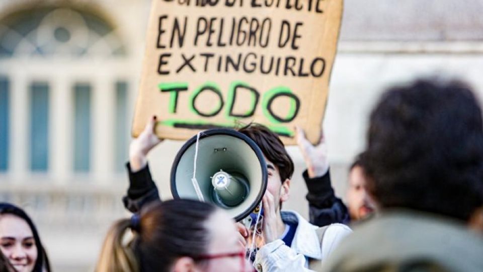 Ambientalistas