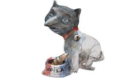 20200802_macri_gato_temes_g