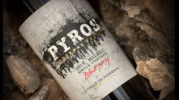 Pyros Single Vineyard Block N°4 Malbec 2015, premiado