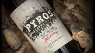 Pyros Single Vineyard Block N°4 Malbec 2015, premiado