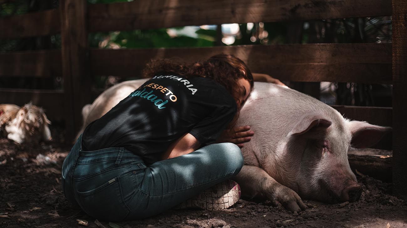 La reconocida artista Marianna DD King diseñó cubrebocas para recaudar fondos para un santuario de animales.