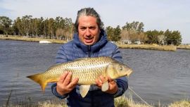 Grandes carpas en la laguna Indio Muerto durante el fin de semana.