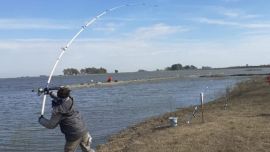 Relevamos laguna San Luis, en Bolivar, un espejo en el que la pesca se creía extinguida.
