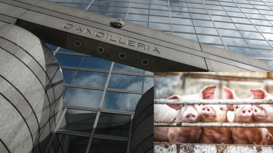 Cancilleria