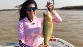 En Rosario abundan los dorados y tras ellos fuimos el fin de semana.